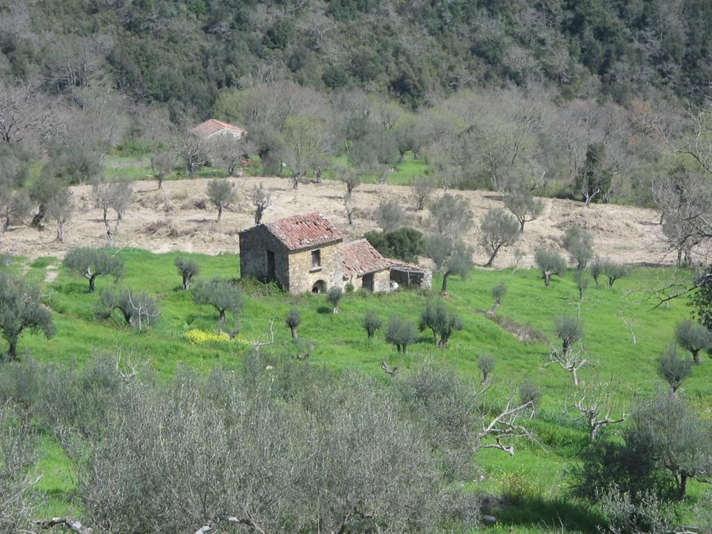 Villa Casal Finocchito Ogliastro Cilento Exterior foto